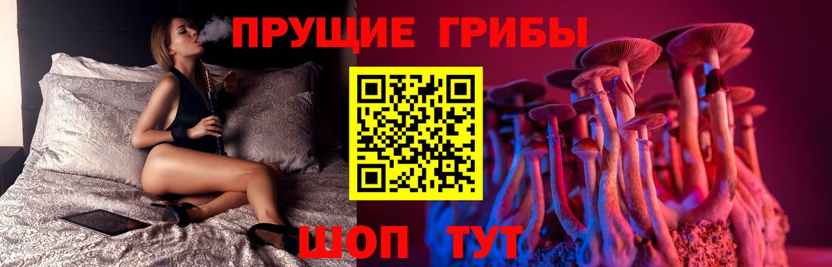 Галлюциногенные грибы мухоморы  Вход с VPN  Алапаевск 